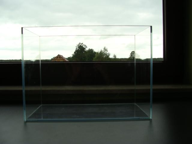 DSC08098.JPG