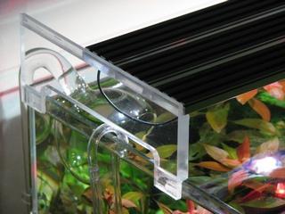 IMG_7633_1.JPG