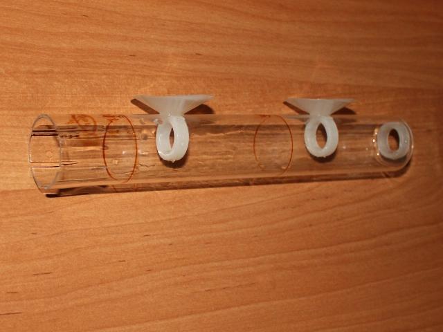 foto1.jpg