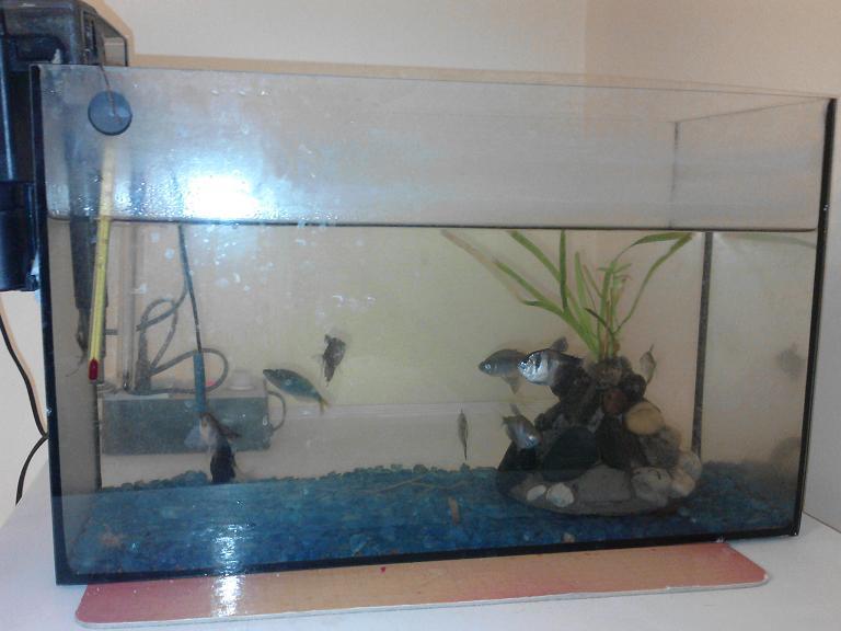 25l.jpg