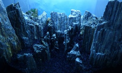 100l - Slate canyon - mirek5566