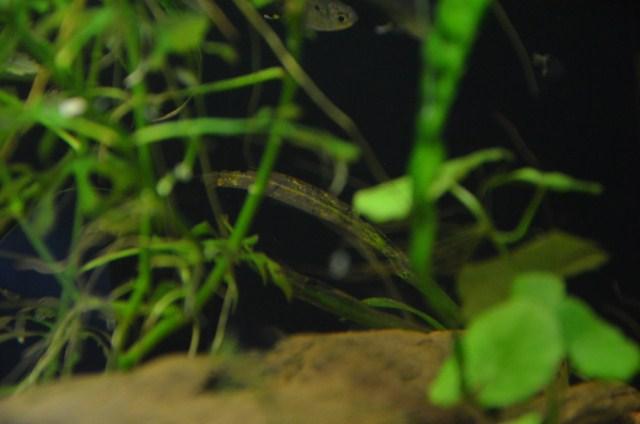 DSC_0395.JPG