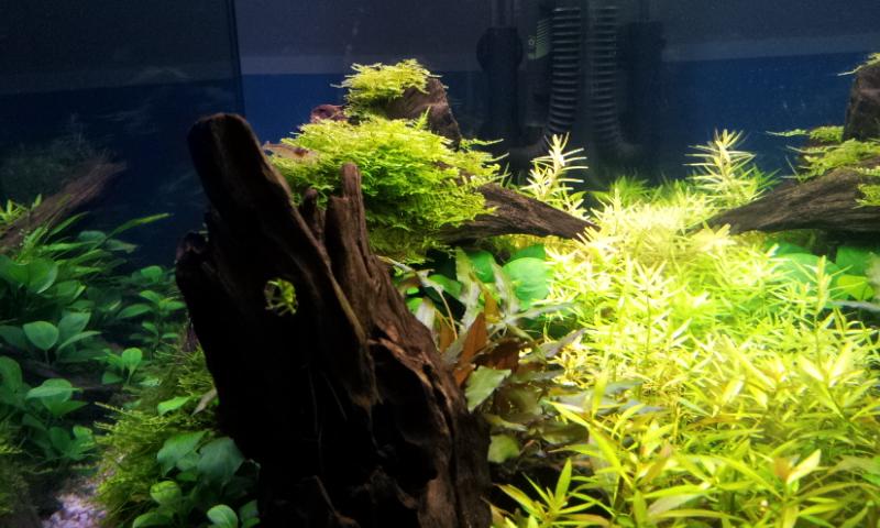 20130104_132112.jpg