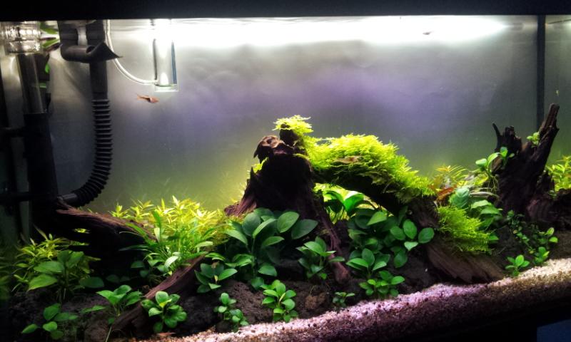 20130104_132211.jpg