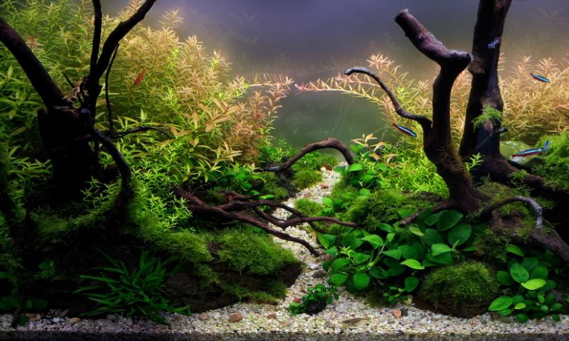 20130414_135019.jpg