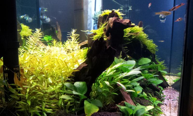20130104_132204.jpg