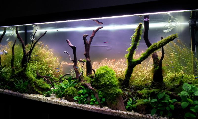 20130414_135013.jpg