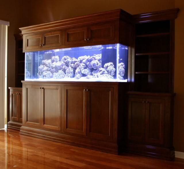 salt-custom-aquarium-cabinet.jpg