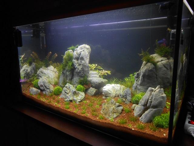 DSCN0574.JPG