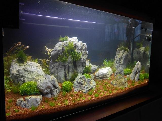 DSCN0573.JPG
