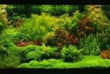 450l - Experymentarium - hodochwast