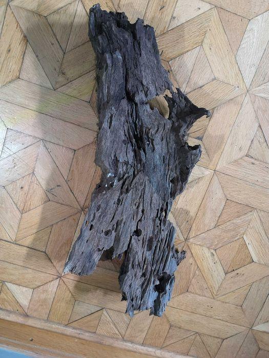 image (6).jpeg