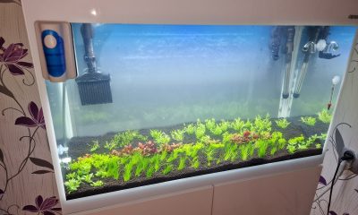 125l - BN/T - dawid112