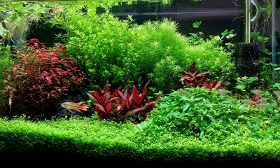 128l - Getting somewhere - AquaMolitor
