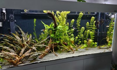 240 l las