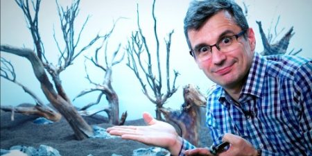 Bonsai Forest - tutorial Green Aqua 